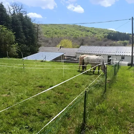 Proche De La Salvetat Casa rural Le Soulié