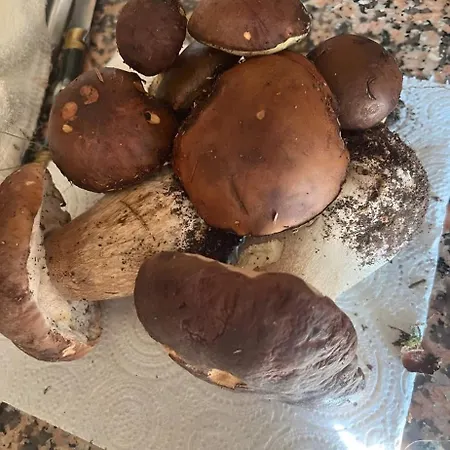 Proche De La Salvetat * Le Soulié