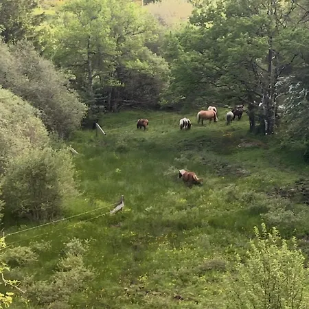 Proche De La Salvetat Casa rural *